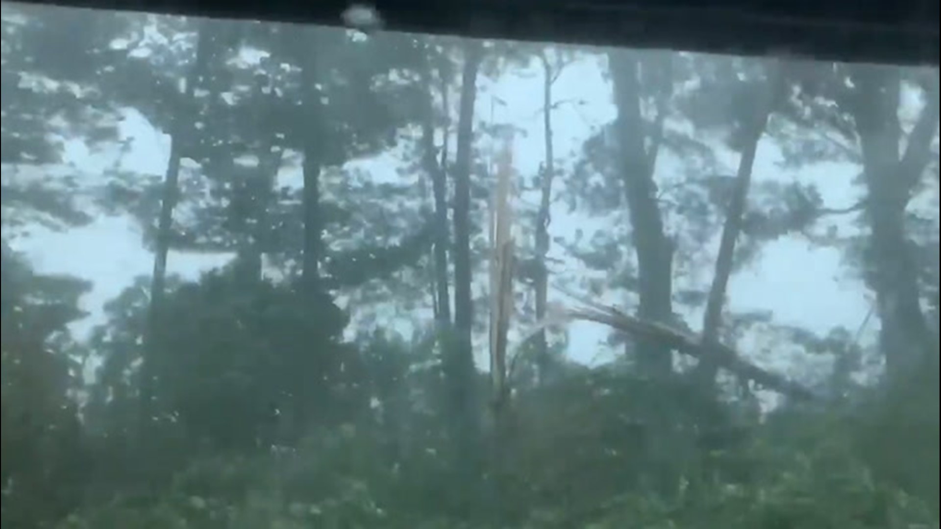 Tree snaps in front of woman during derecho