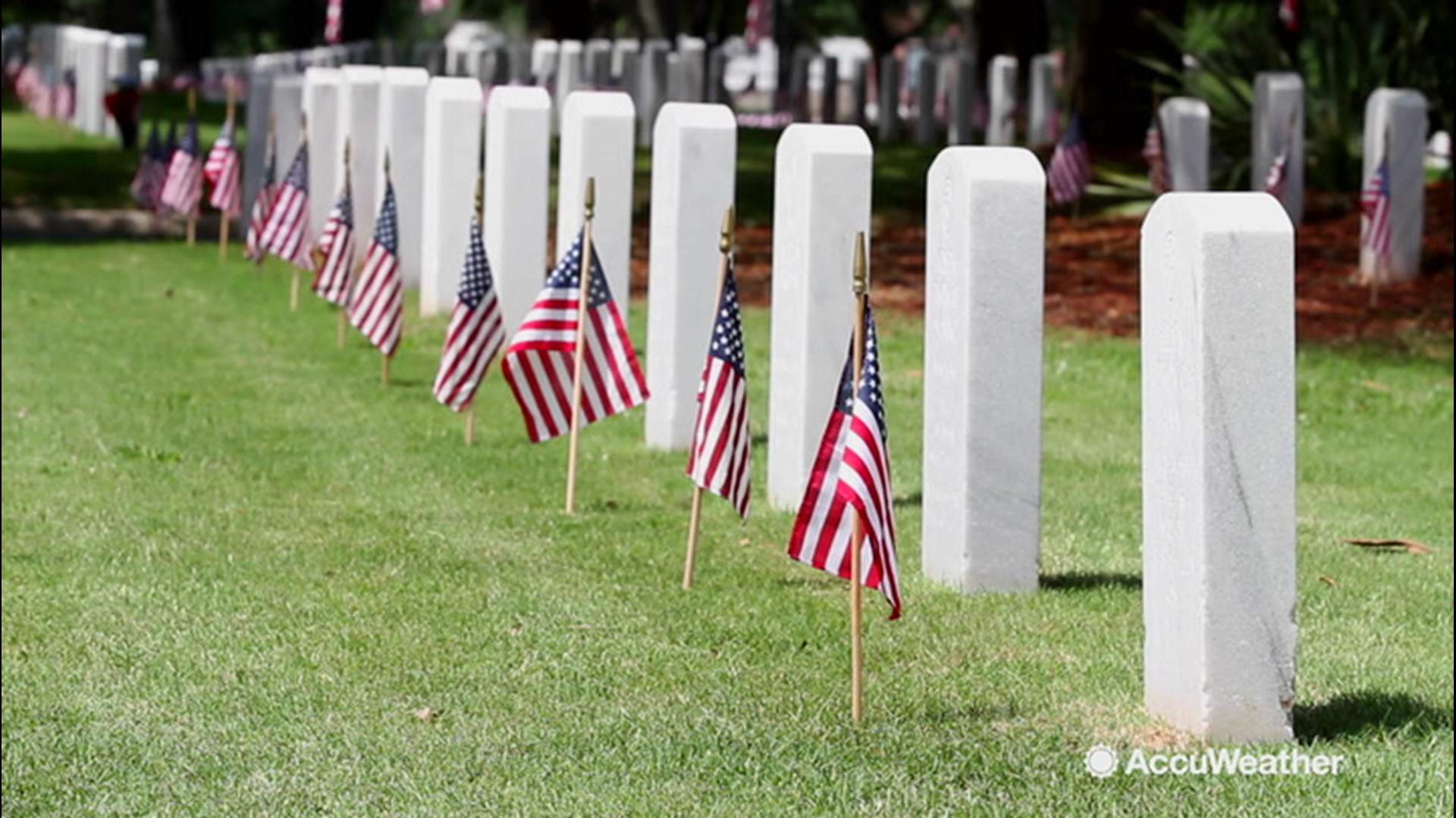 Veteran's Day, Armed Forces Day, Memorial Day: What's the