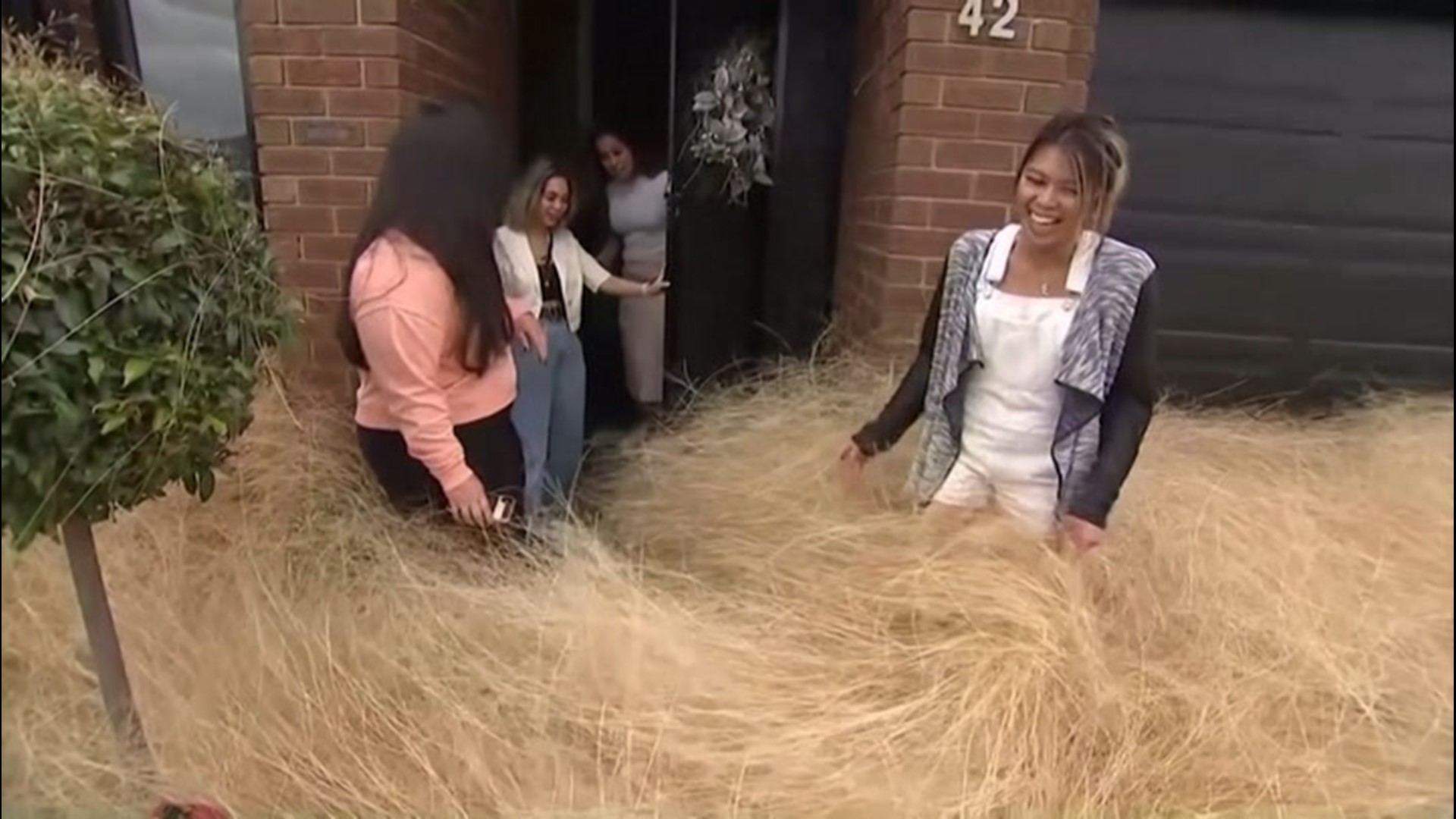 Strong storms and wild weather led to tons of tumbleweeds covering a portion of Hillside, a suburb of Melbourne, Australia, on Dec. 5.