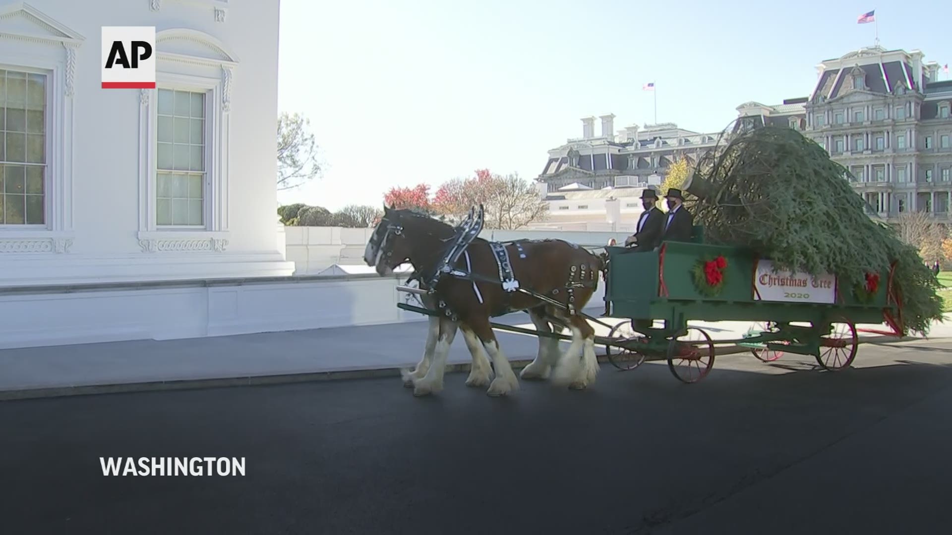 First Lady Melania Trump Monday took delivery of the White House Christmas tree.
