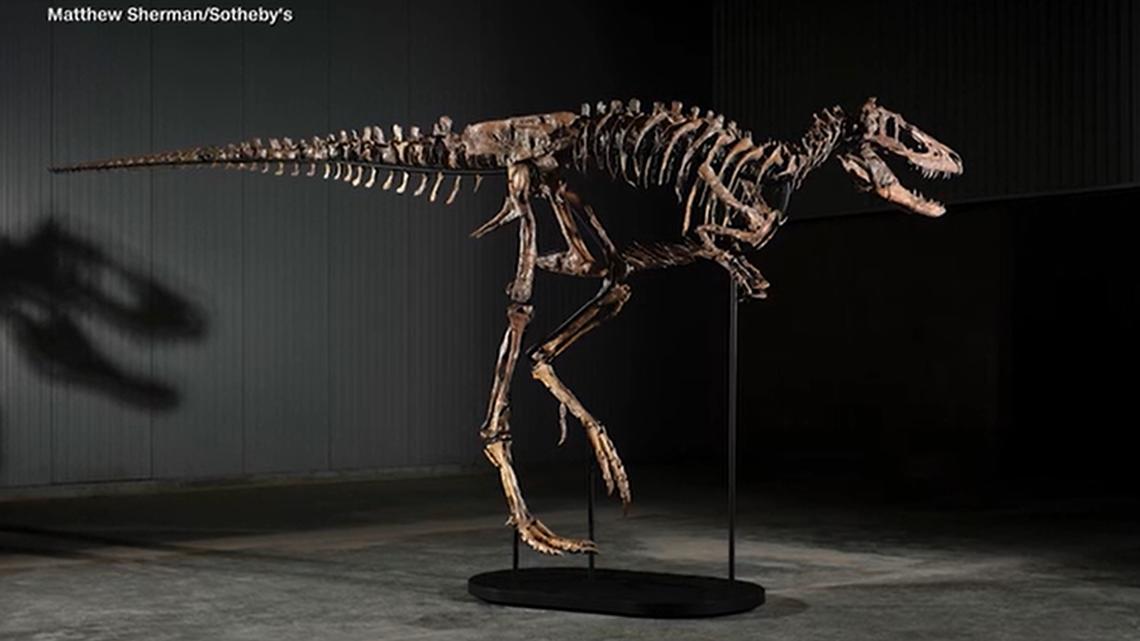 Rare Nanotyrannus skeleton 'Jodi' sells for $47.3M