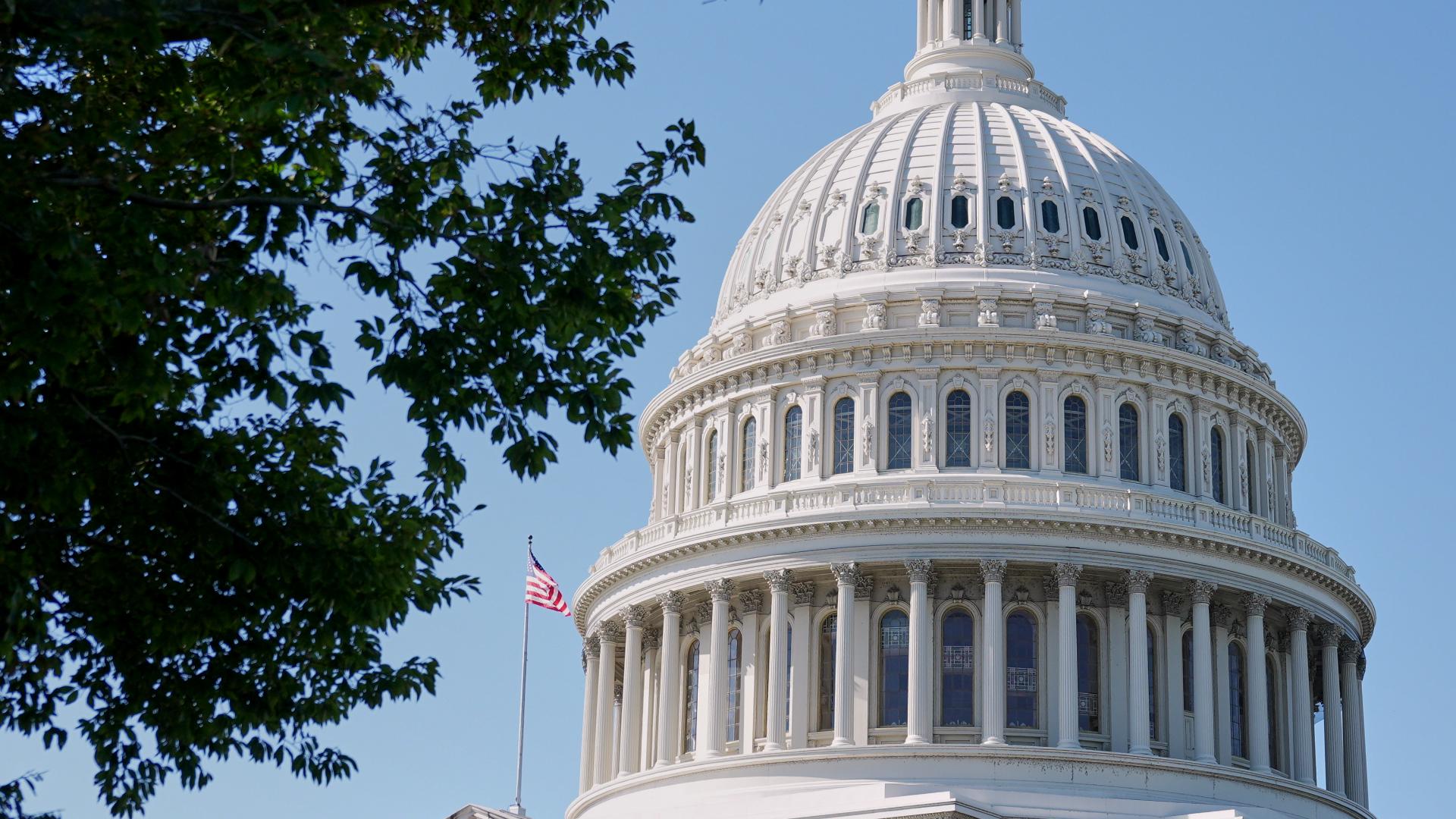 Features Diffreent Races Collage Midterm elections: Here are the key races that will decide control of ...