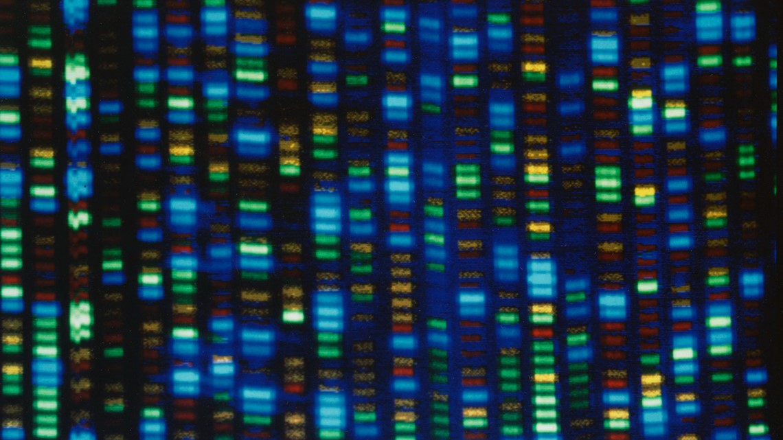 Human genome decoded fully | whas11.com - Vimarsana News