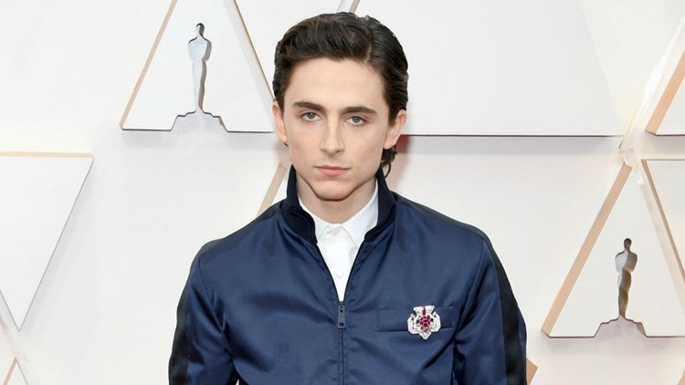 Timothée Chalamet Is One Stylish Stud in Navy Ensemble at 2020 Oscars