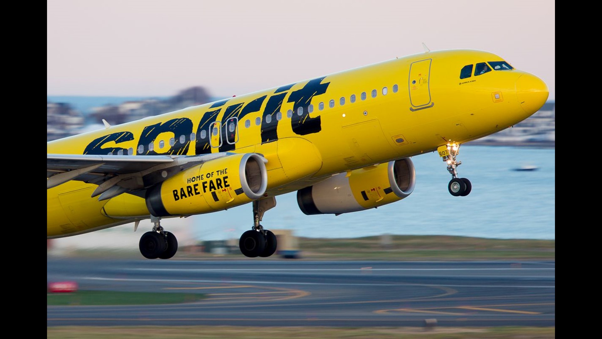 Spirit Airlines tightens rules on emotional support