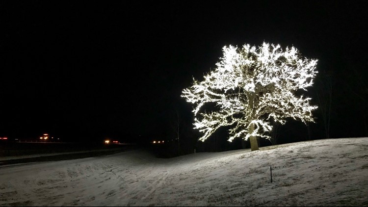 Stunning tree of lights is gift to I-35 holiday travelers