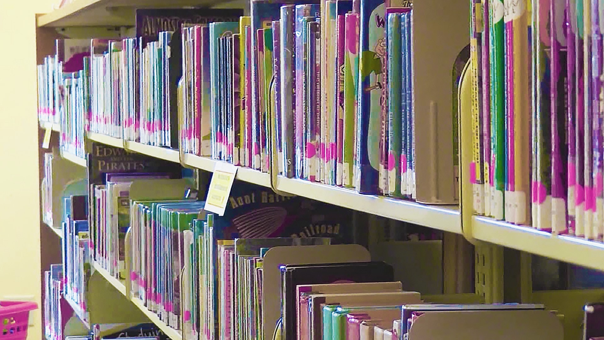 A federal judge has blocked the Arkansas library censorship law that was set to take effect on Aug. 1.