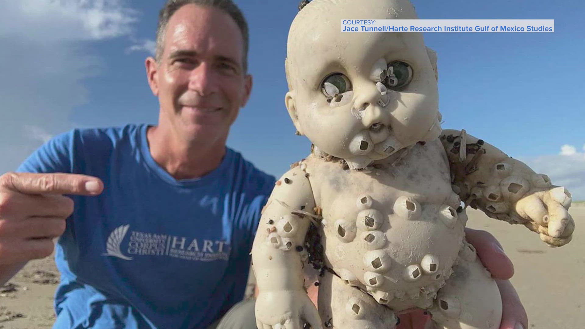 Jace Tunnell is with the Harte Research Institute of Gulf of Mexico Studies and he gets paid to comb Texas beaches for Corpus Christi A&M.