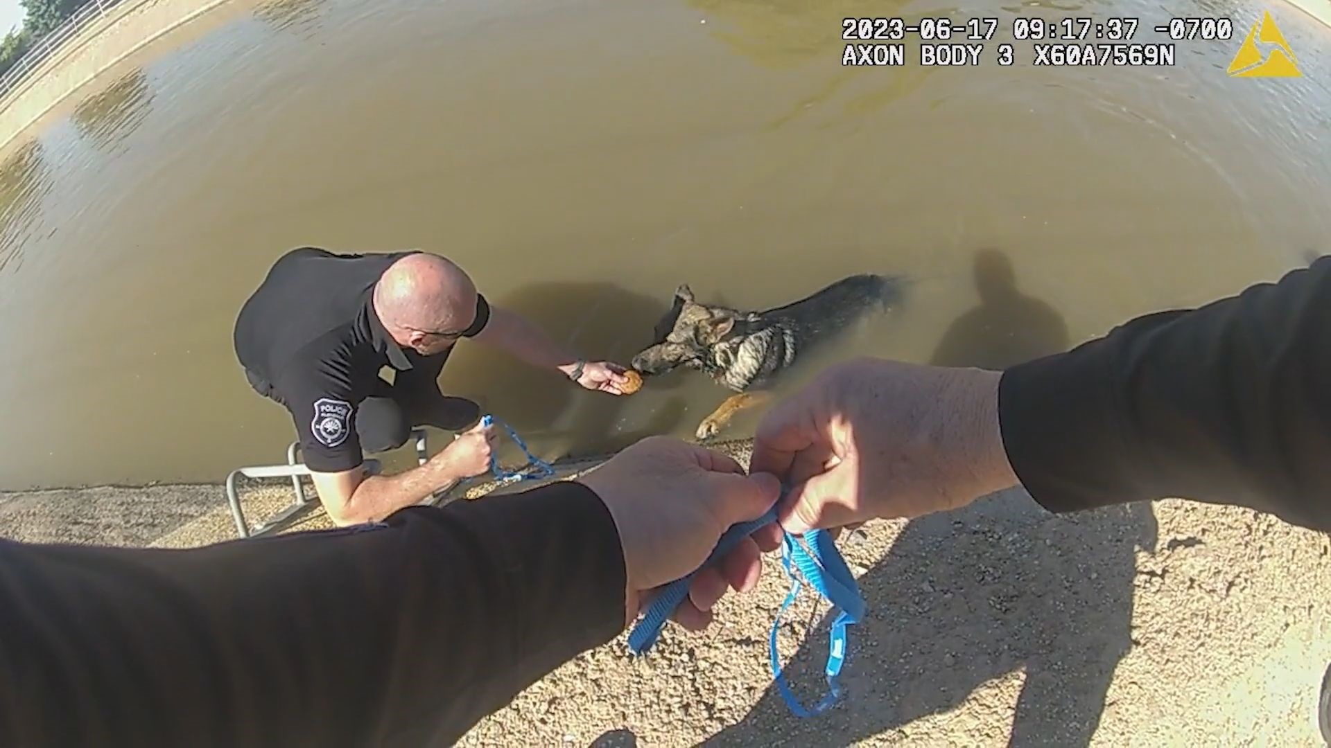 A dog was seen in the canal with no way of escape, so some nearby officers jumped in to help.