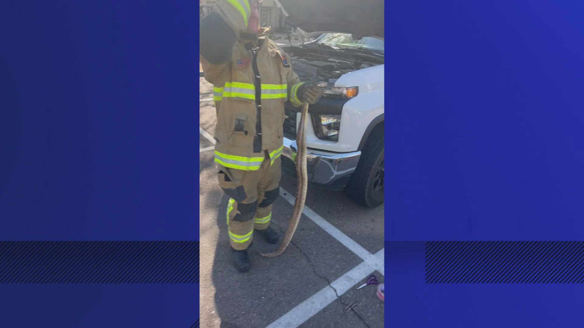 A boa constrictor recently went on a little joy ride across the Valley by slithering inside a pickup truck. 