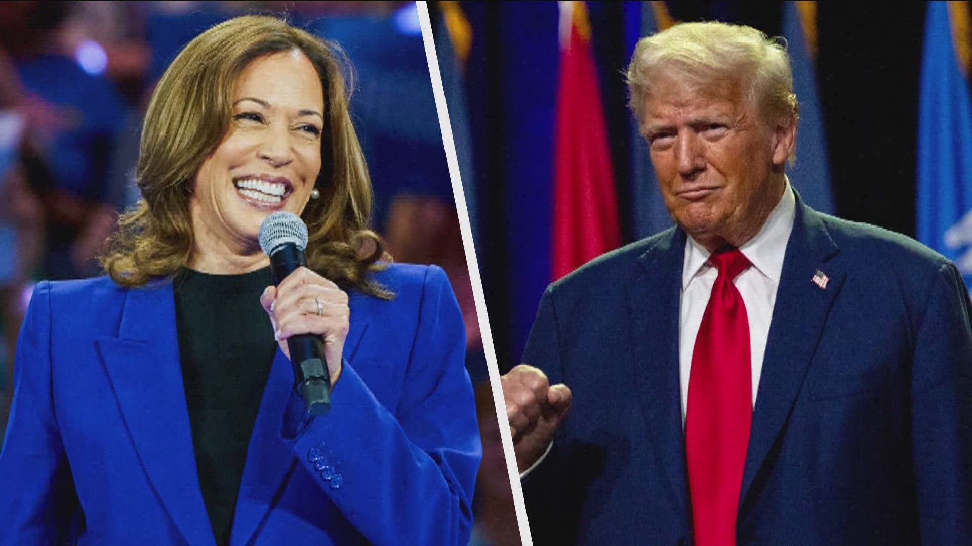 In the race for the White House, Kamala Harris and Donald Trump head to Michigan on Friday to scour for votes in the key battleground state.