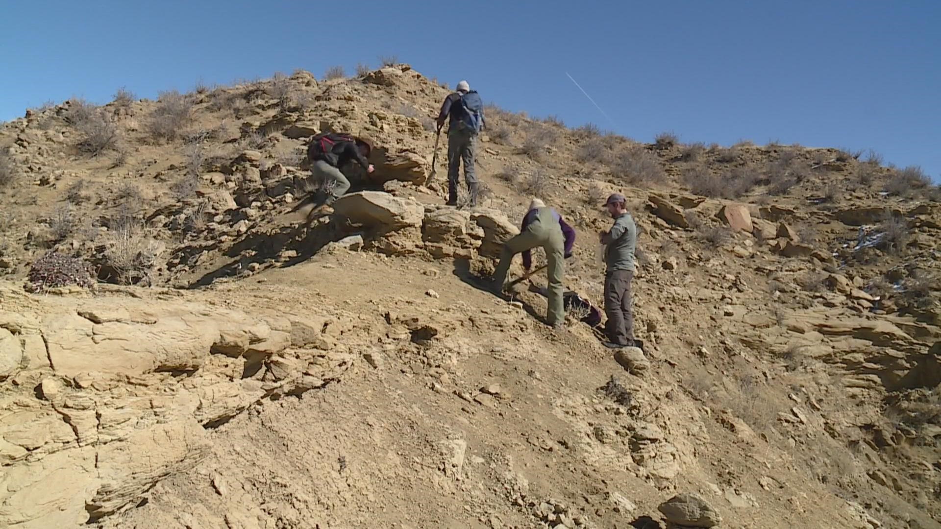 Scientists are finding clues regarding how climate change may have impacted life on earth about 65 million years ago. Here's 9NEWS Meteorologist Cory Reppenhagen.