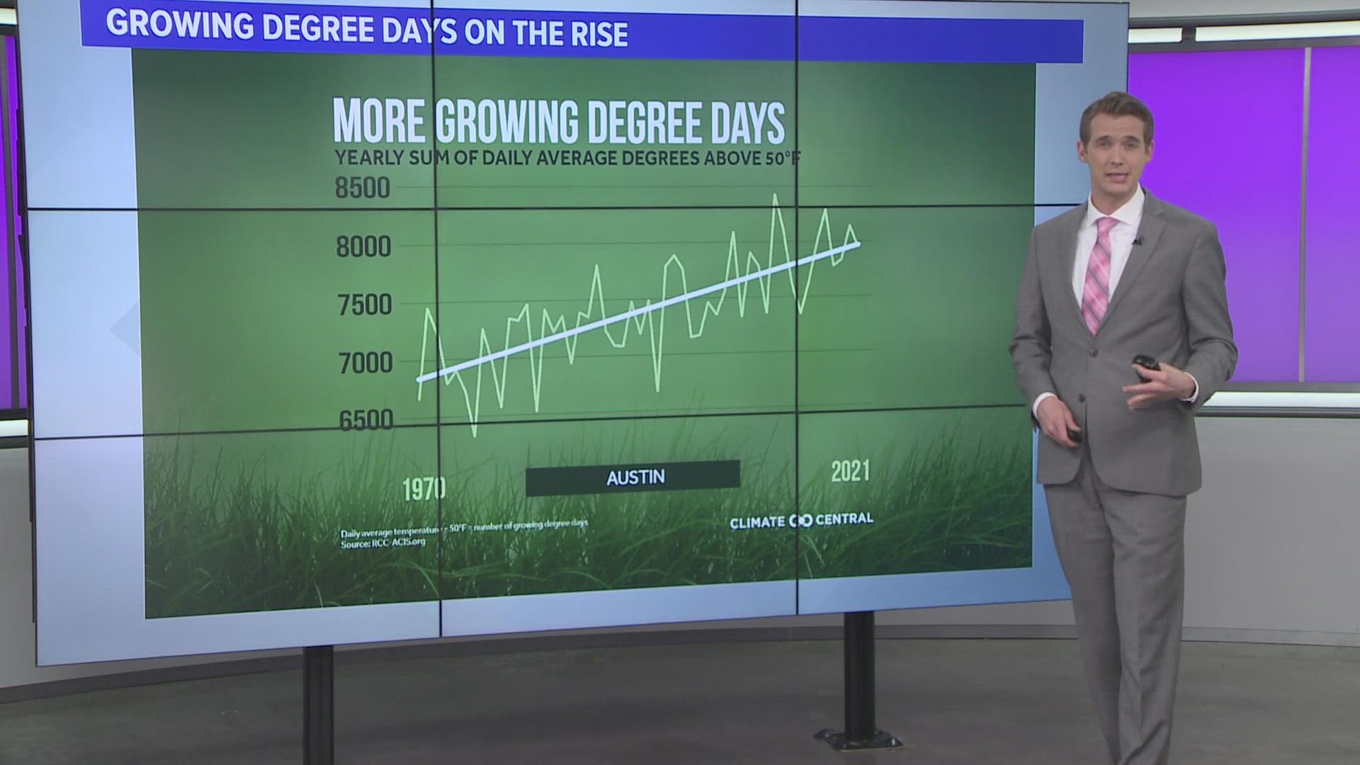 Allergy Alert: Pollen Forecast is Low