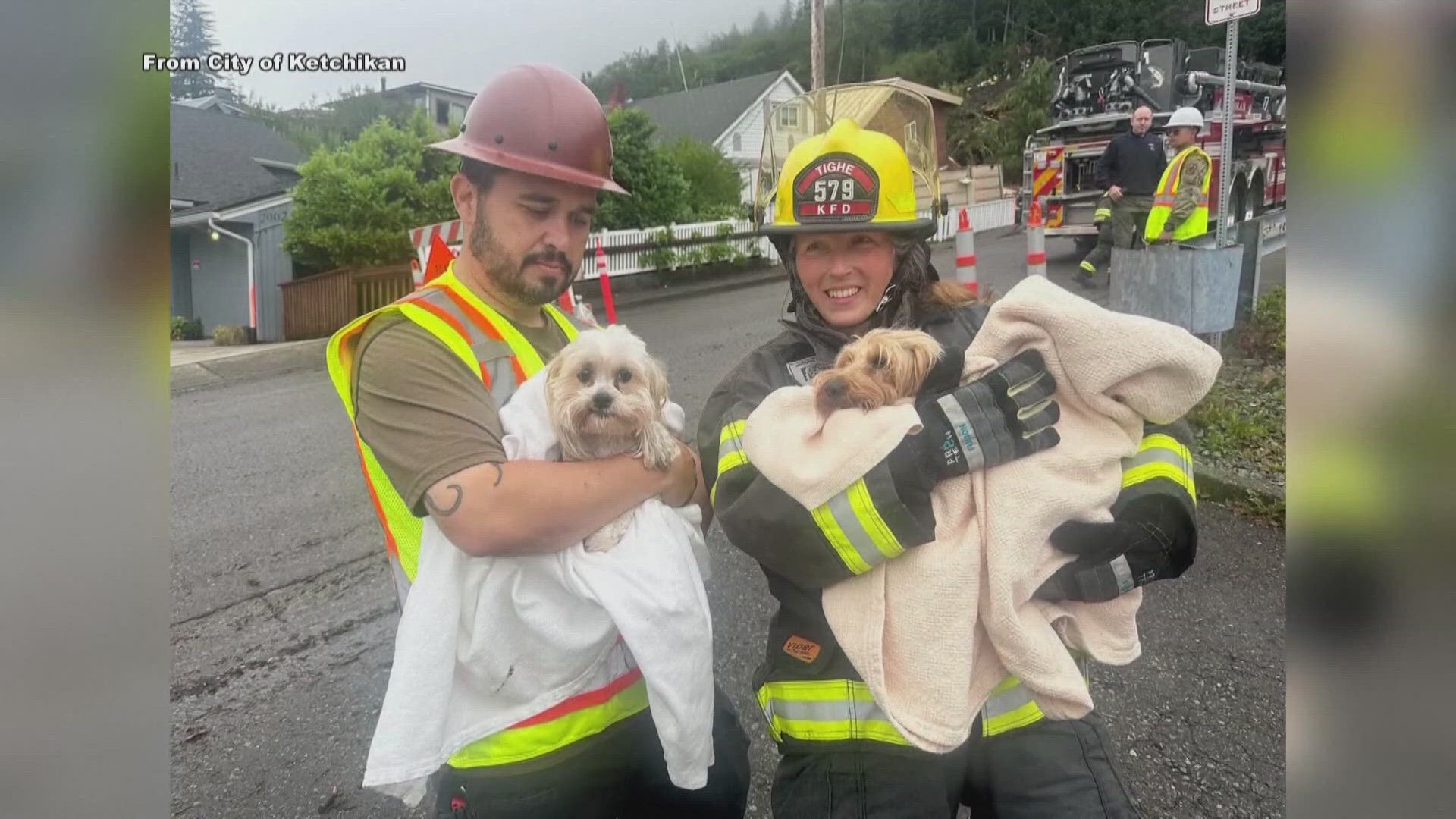 Two dogs saved in miraculous rescue after landslide trapped them for 7 ...