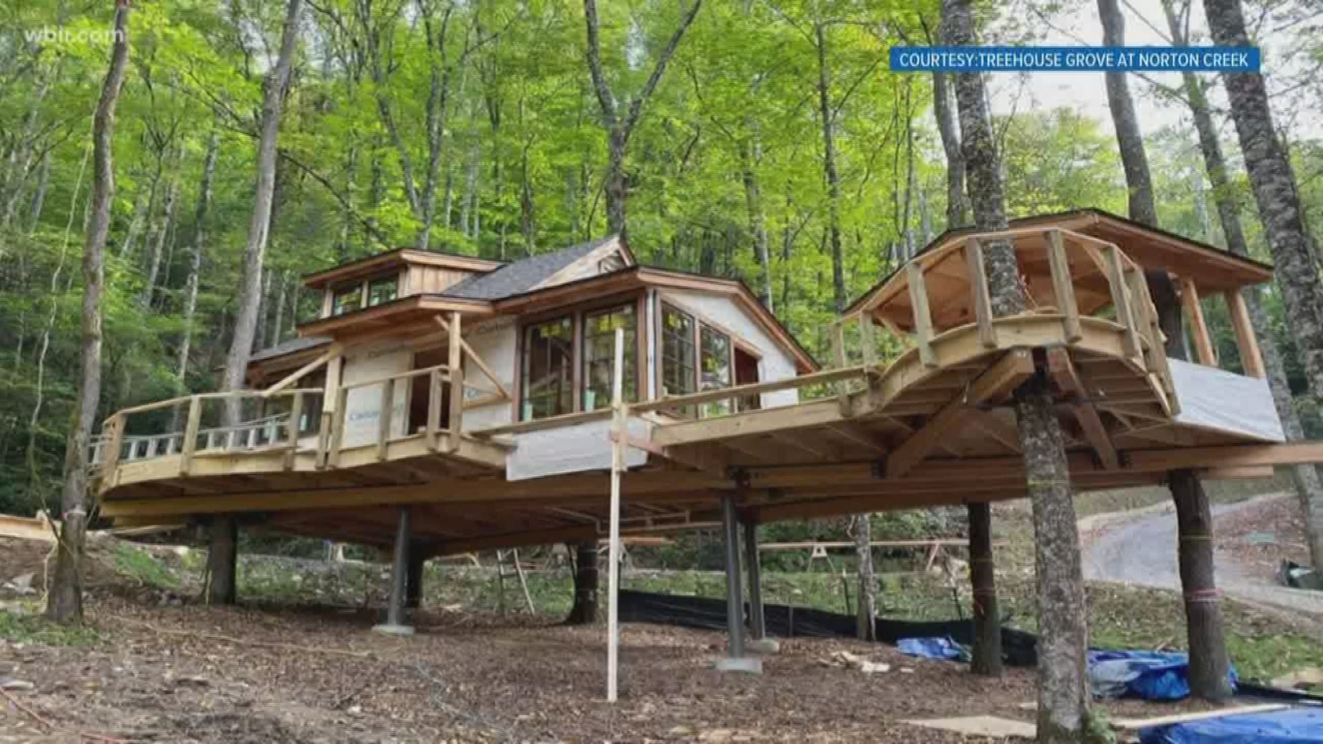 Eight treehouse getaways are coming to the Smokies next year.