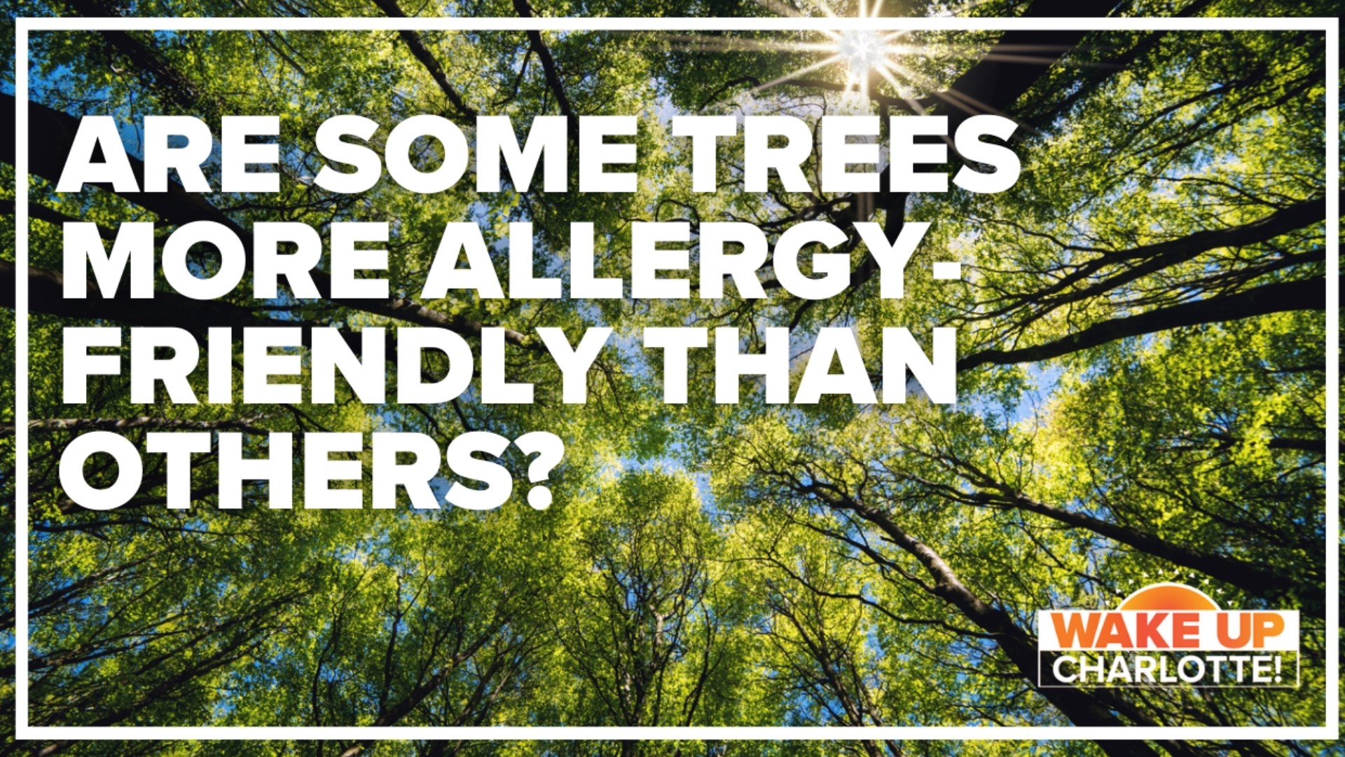 As many of us are fighting seasonal allergies, we're looking for any relief we can get.