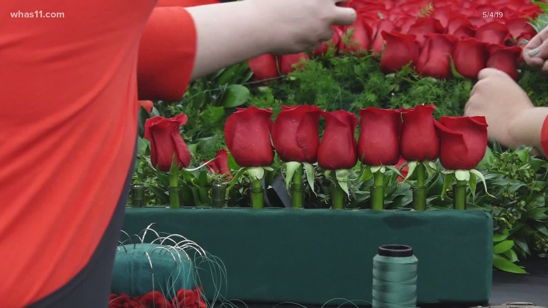 Another change this year surrounds the iconic garlands of lilies and roses presented to the winner of the Oaks and Derby.