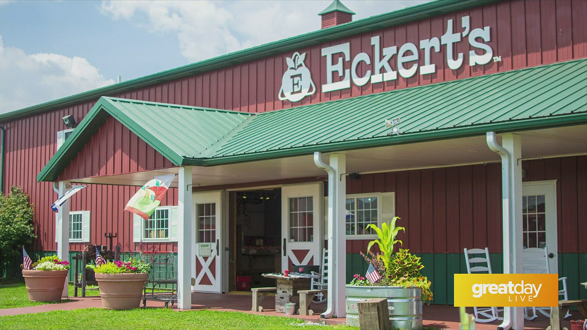 It's fruit picking season at Eckert's Orchard and they have so much to offer from fresh fruit, cookbooks, desserts and fun events!