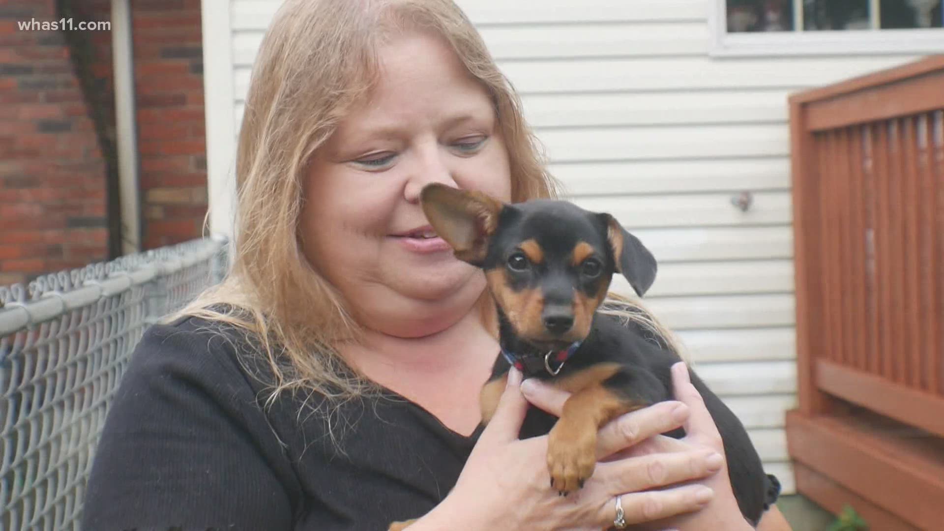 A Louisville woman has a happy ending after she was reunited with her pooch, just two weeks following a carjacking in the Kenwood Hill neighborhood.