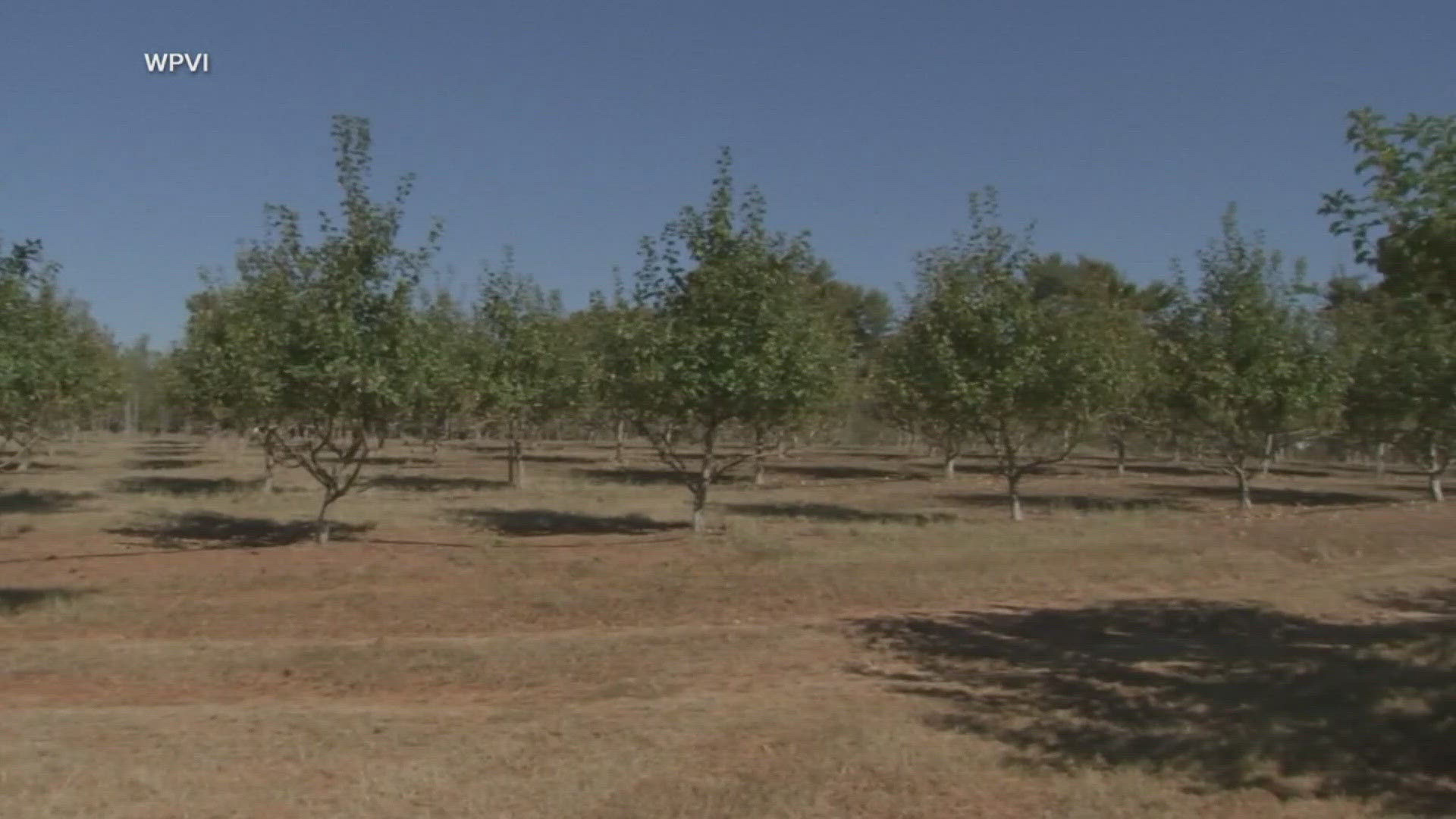 Farmers in the northeast are setting up sprinklers in late October, fighting unusually dry conditions and record heat.