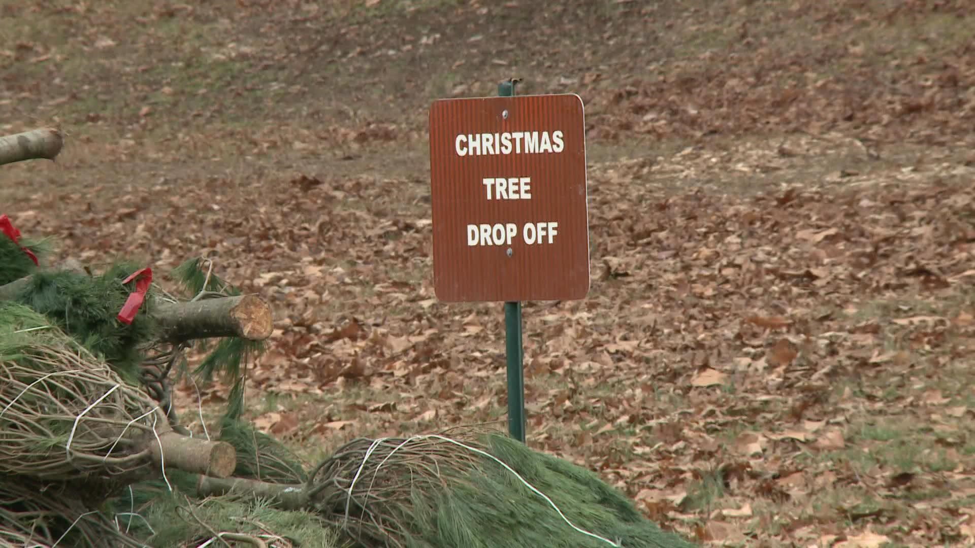 Where to drop off Christmas trees in Louisville, Kentucky