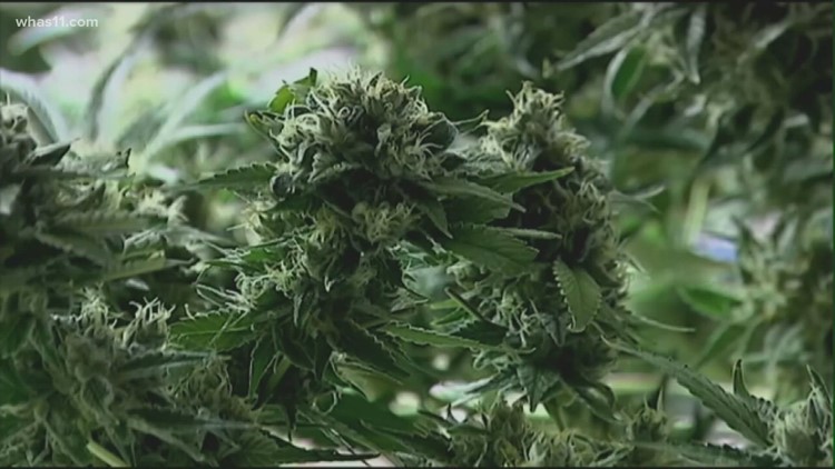 Kentucky, Indiana legislators renewing push for legalizing marijuana