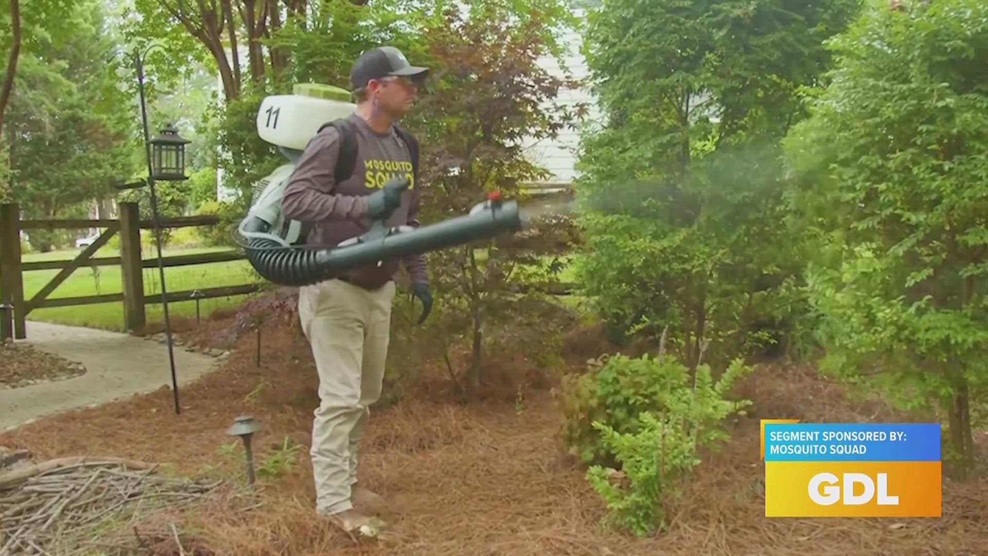 Learn more at mosquitosquad.com.