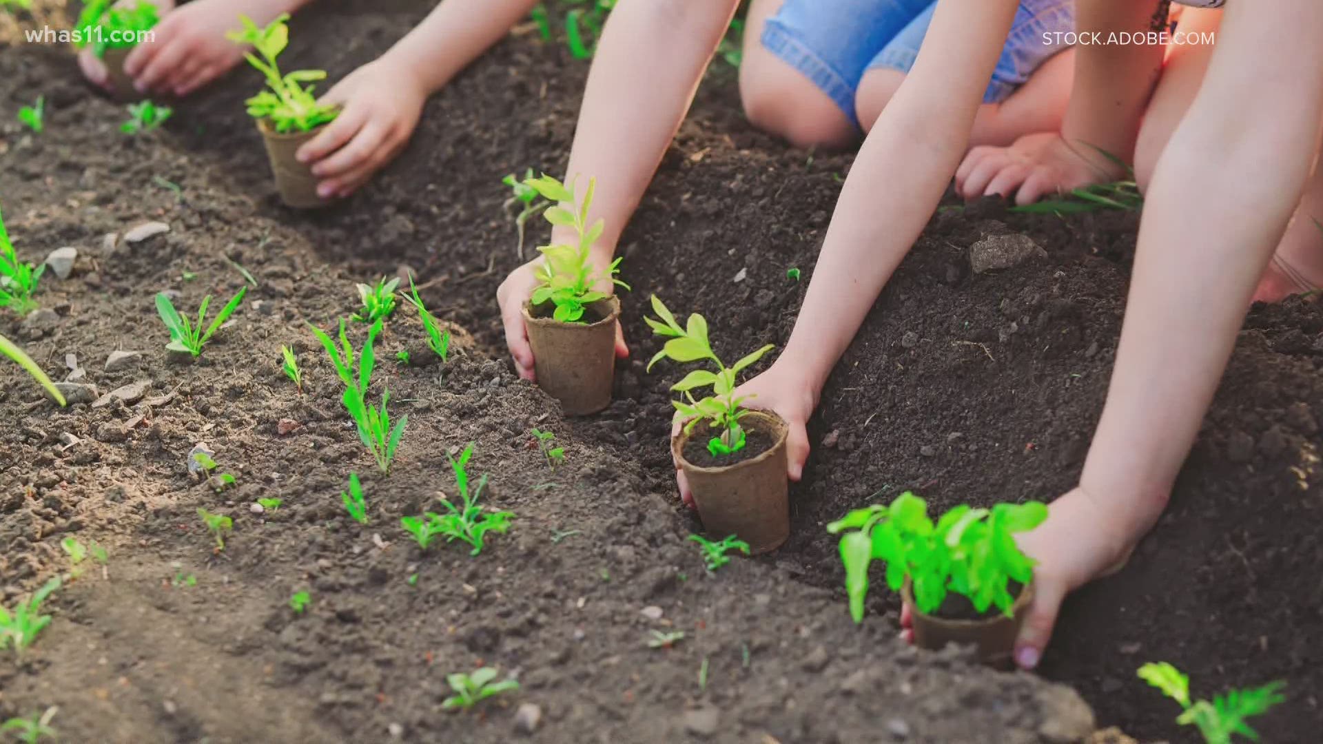 Access to fresh produce is a barrier in some parts of west Louisville. A new program is focusing on teaching kids how to grow their own food.