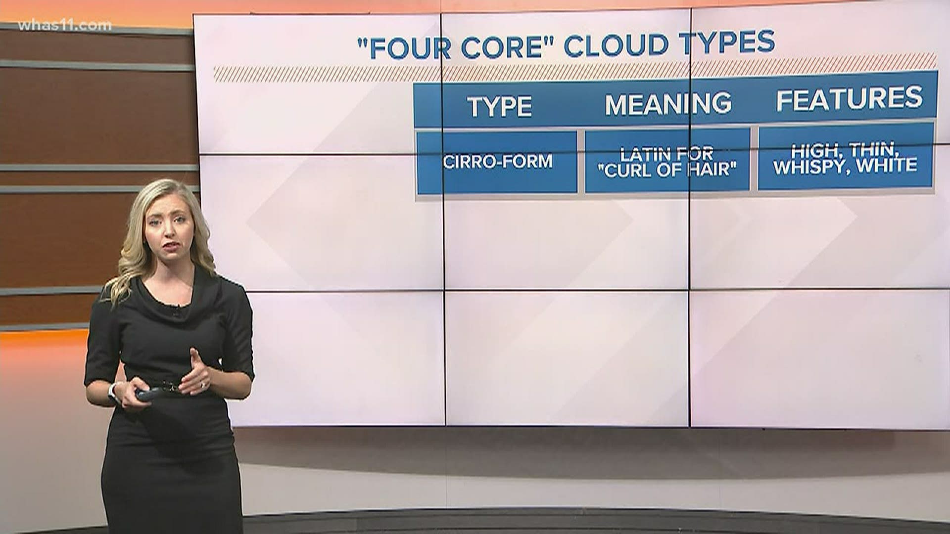 These are your four core cloud types.