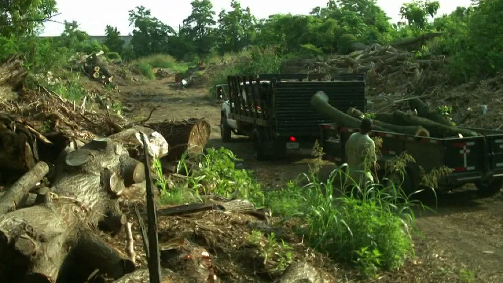 City struggles with illegal dumping ground