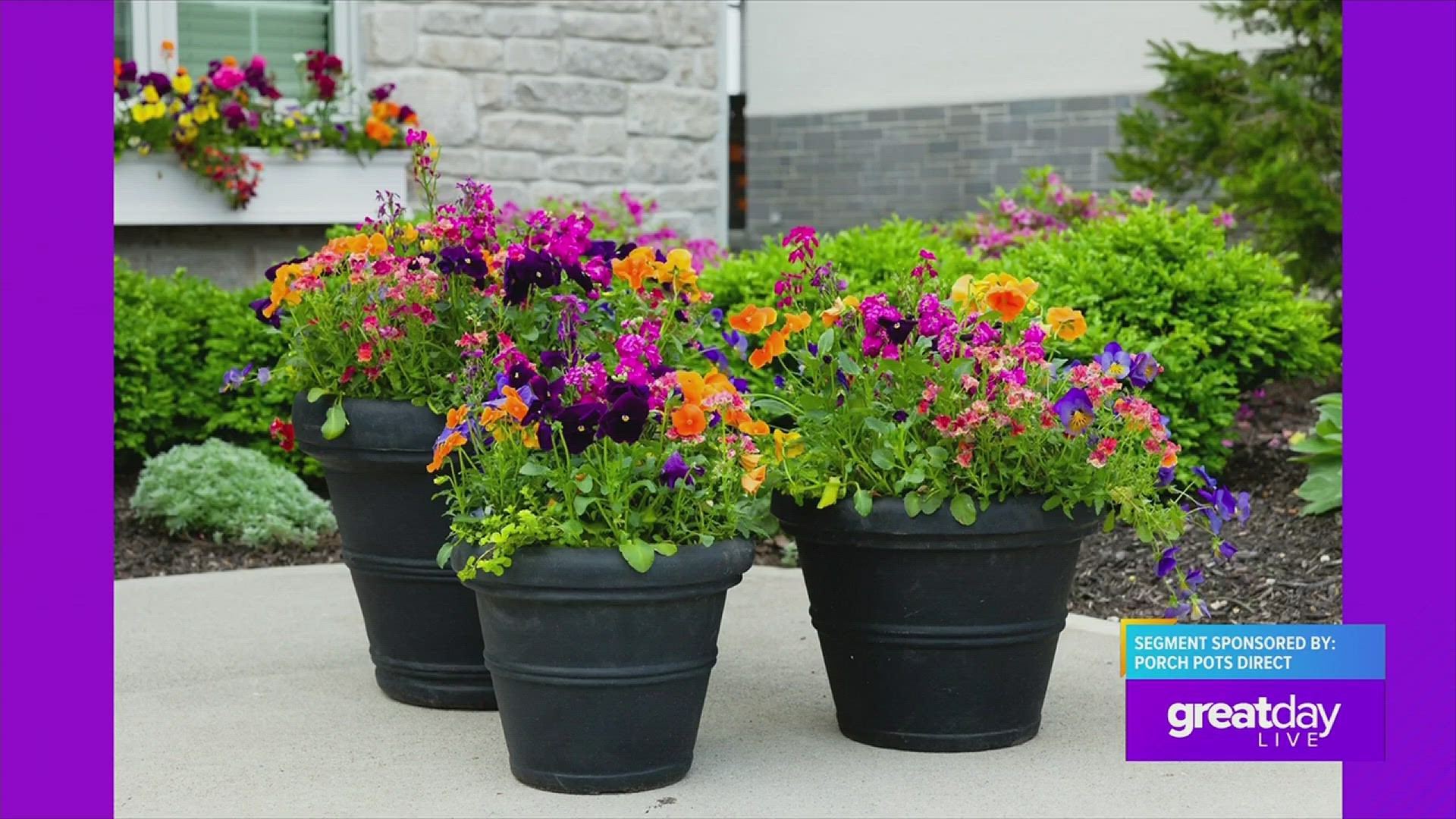 Porch Pots Direct featured on Great Day Live!