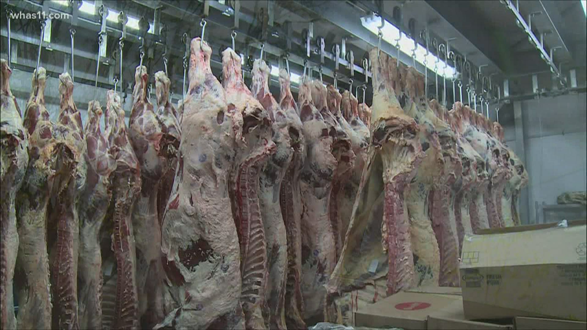 Closing of some meat processing plants have many people worried about the food supply, but one Kentucky butcher is showing no signs of slowing down.