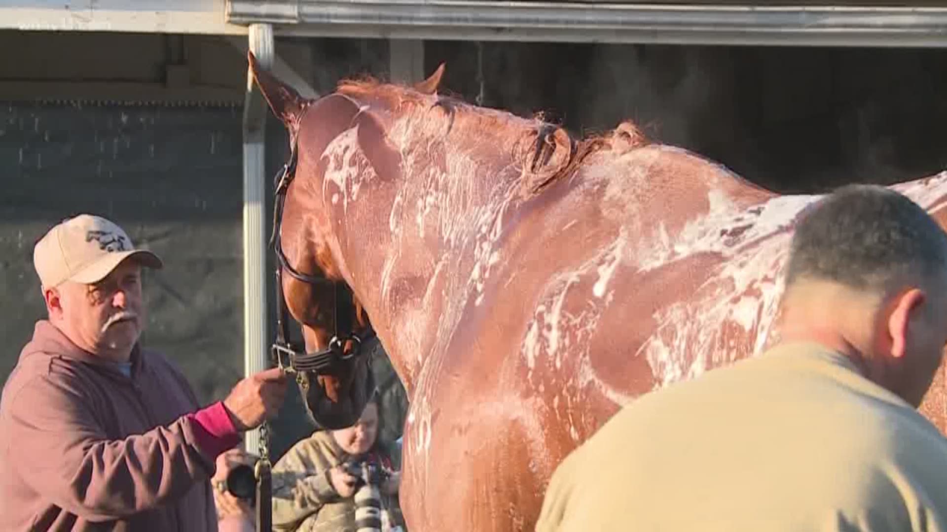 A news report says the horse had tested positive for the drug scopolamine after winning the Santa Anita Derby, one of the final prep races for the Kentucky Derby.