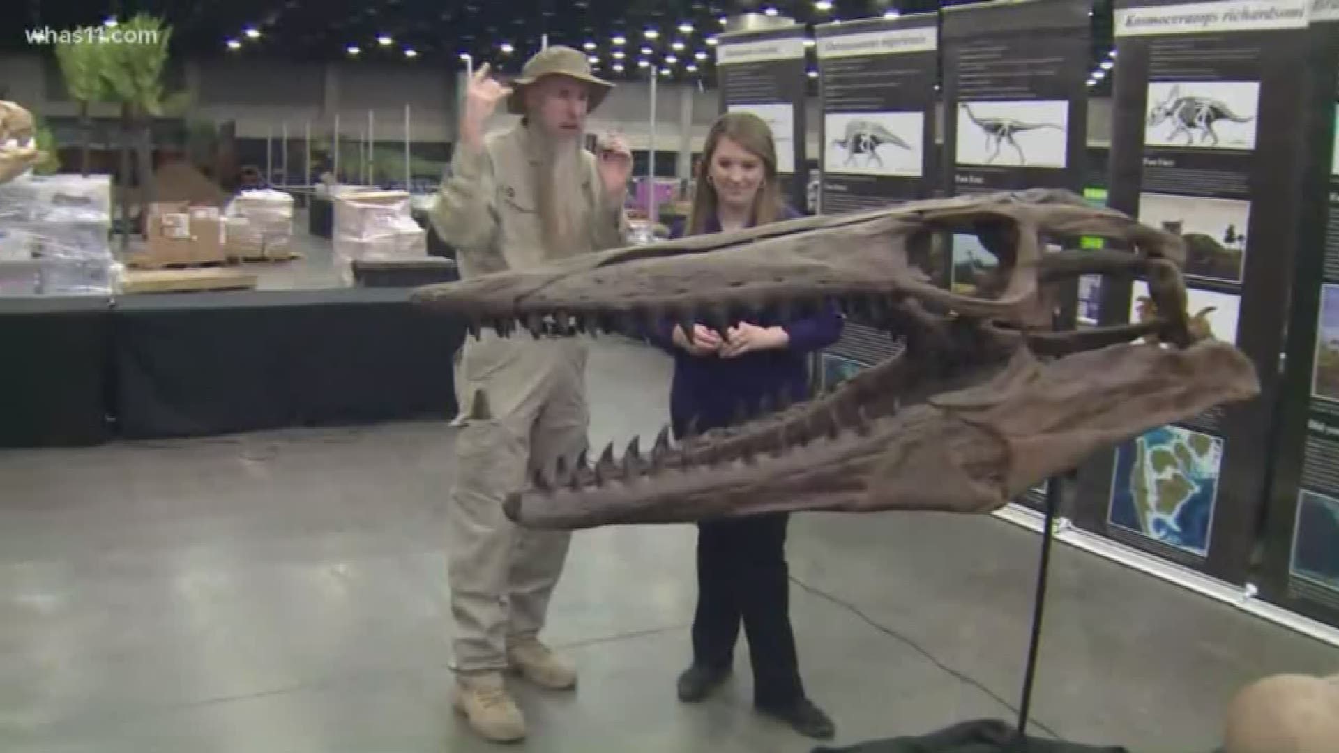 Brooke Hasch got a lesson in fossils from Park Ranger Marty at Jurassic Quest. The event is open all weekend at the Kentucky Expo Center.