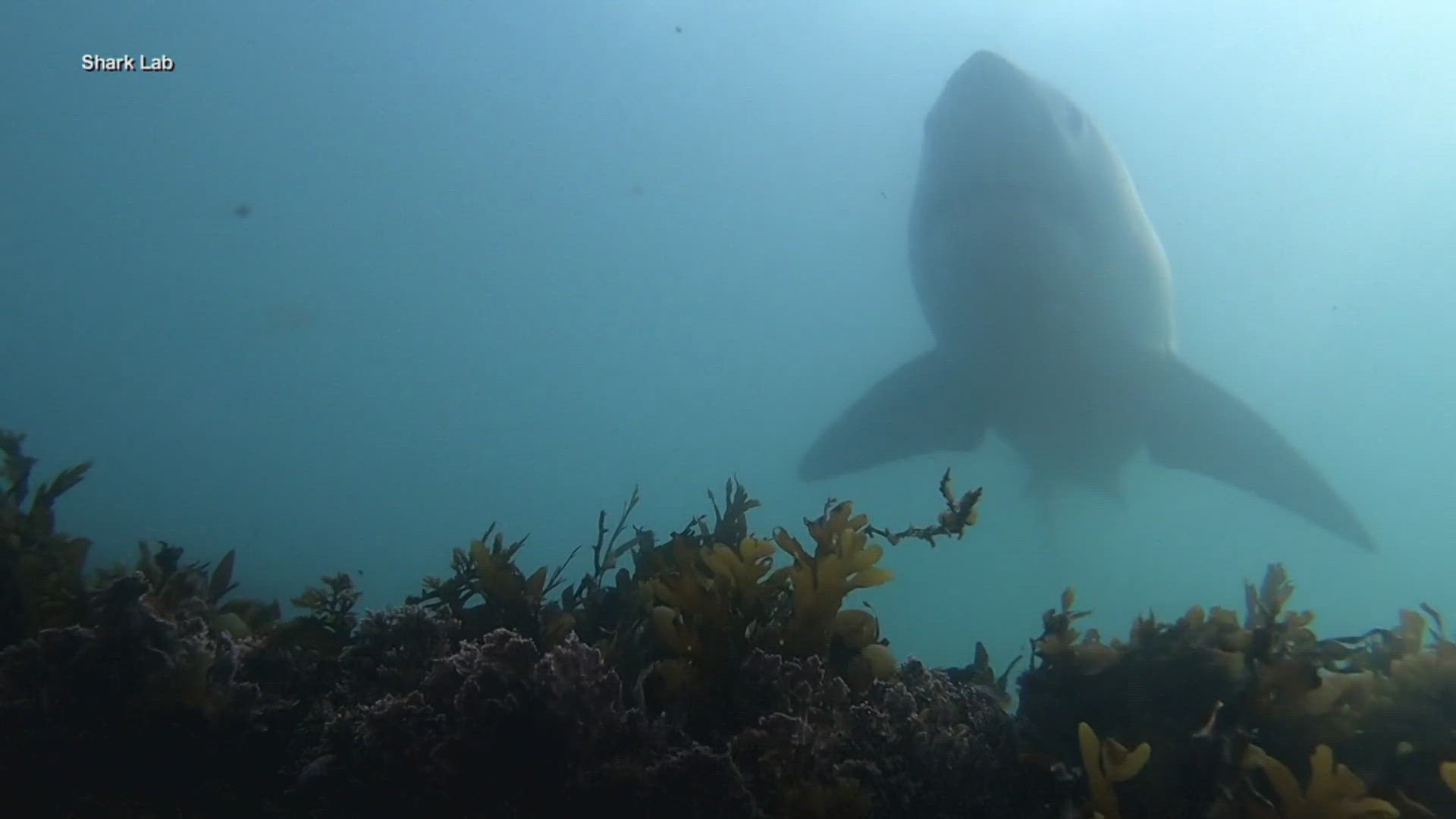 Researchers on board are seeking answers to some of the biggest questions beneath the surface of our planet's oceans.