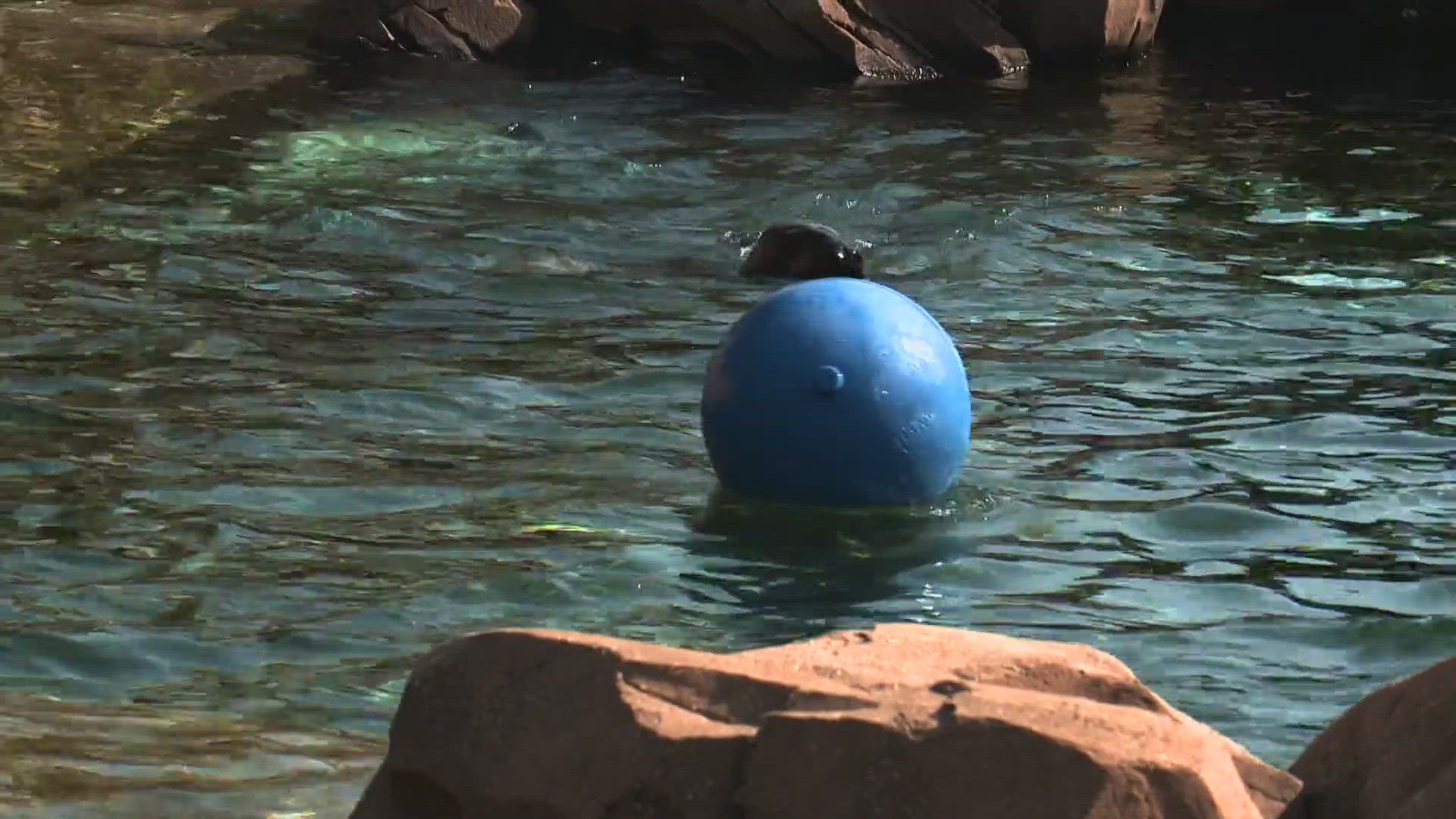 The Zoo partnered with WaterStep and the Louisville Water Company to mark the first day of World Water Week, an event that highlights global access to clean water.