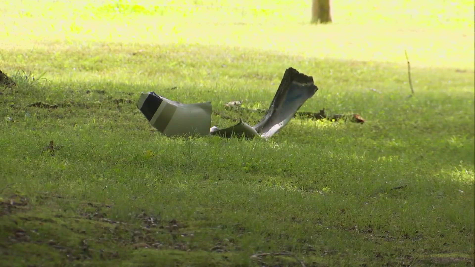 Louisiana State University identified two of the passengers as Giselle and Jean-Luc Doucet. The university said the siblings were supposed to graduate on Friday.