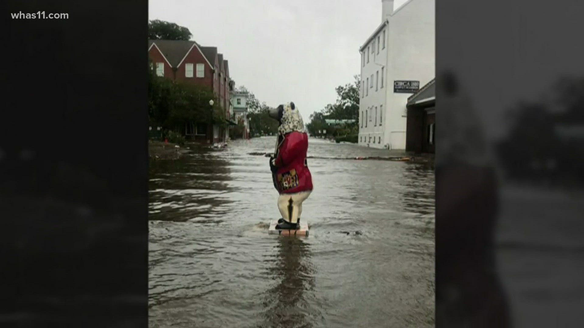 In New Bern North Carolina, the Nuese River flooding streets and businesses -- causing some things to wander off.