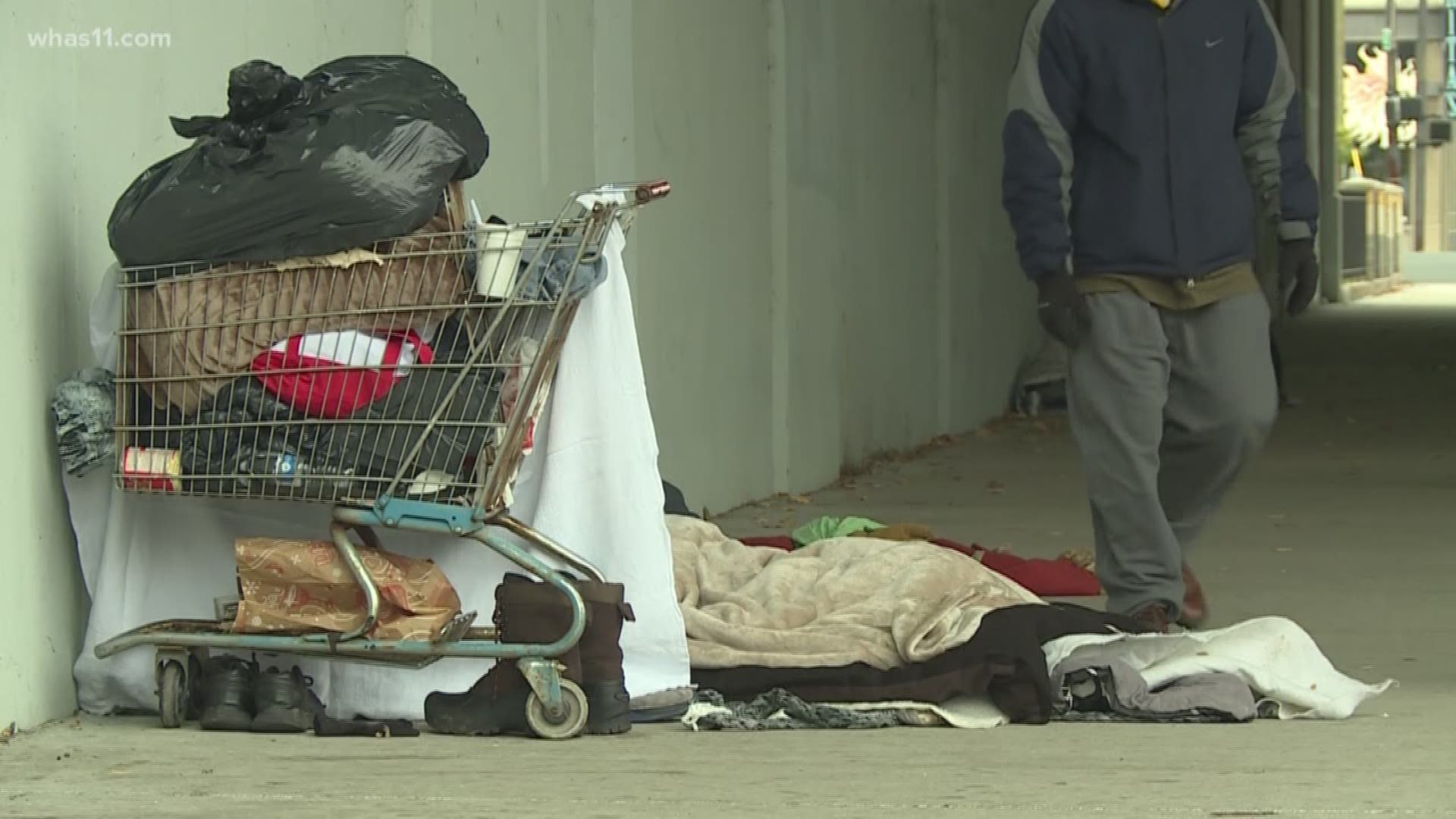Metro Councilwoman Barbara Sexton Smith joined WHAS11 alongside Eric Friedlander of the mayor's homeless task force to discuss solutions to Louisville's growing homeless population.