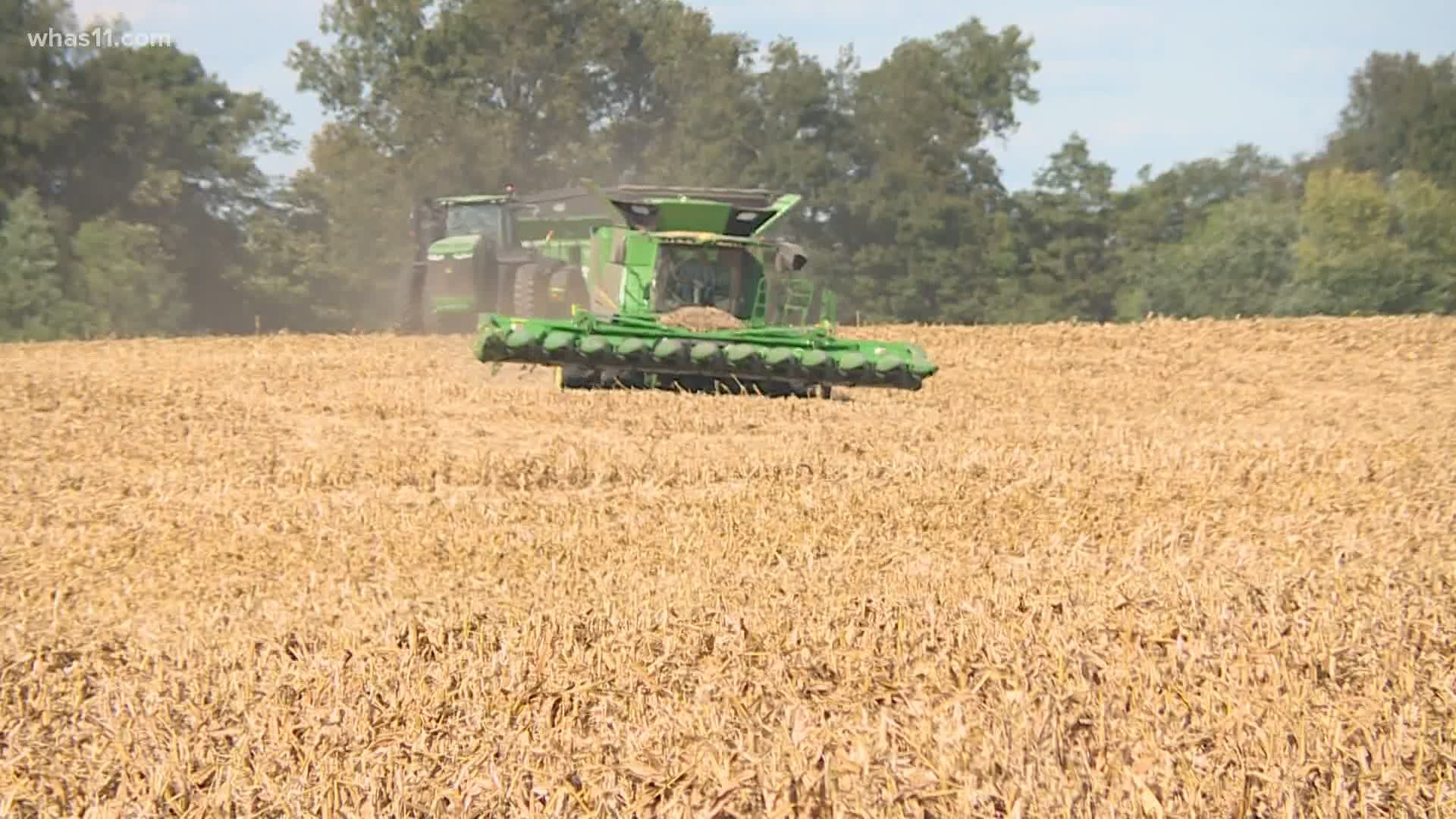 Kentucky farmers impacted by COVID-19 could see relief | www.lvbagssale.com