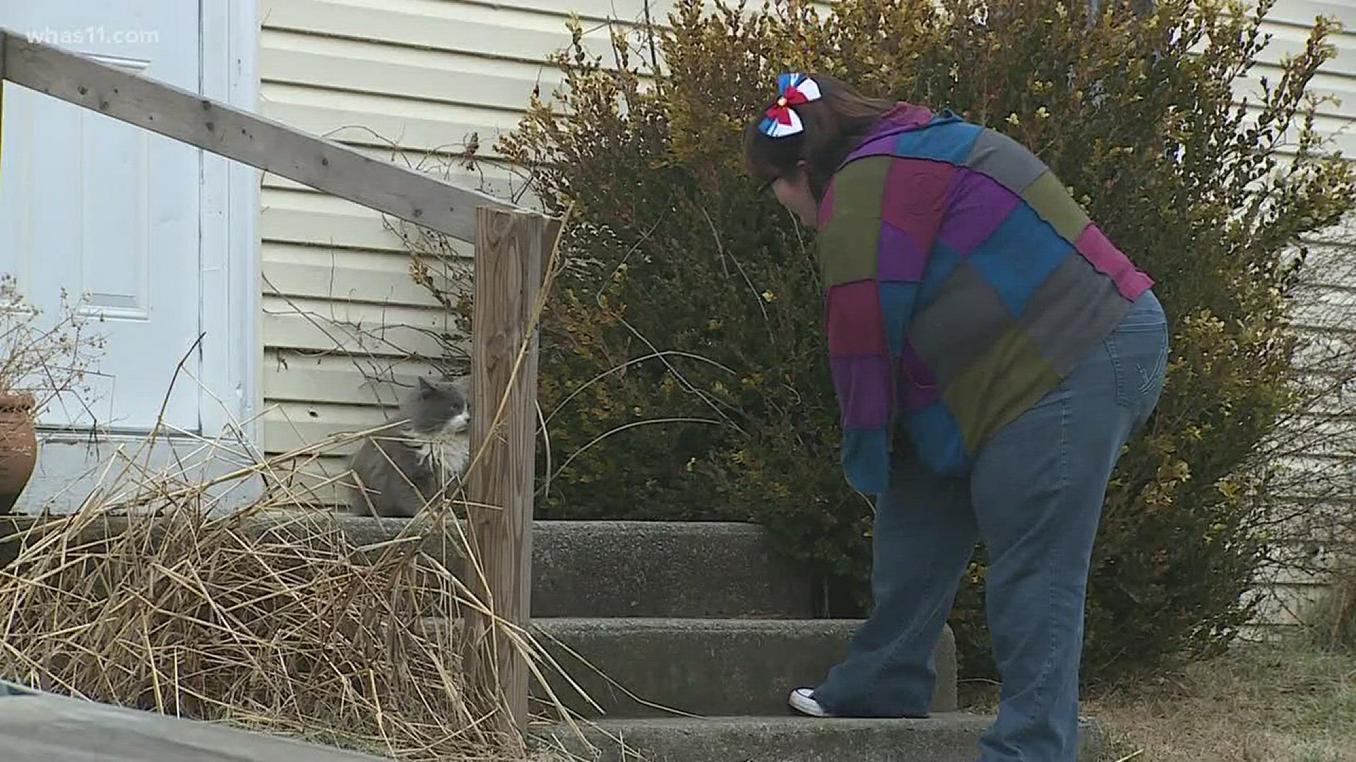 Homeowners in the Pleasant Ridge community have been fighting with the city of Charlestown and developers to keep their homes., now they're facing another problem -- the neighborhood is overrun with stray cats.