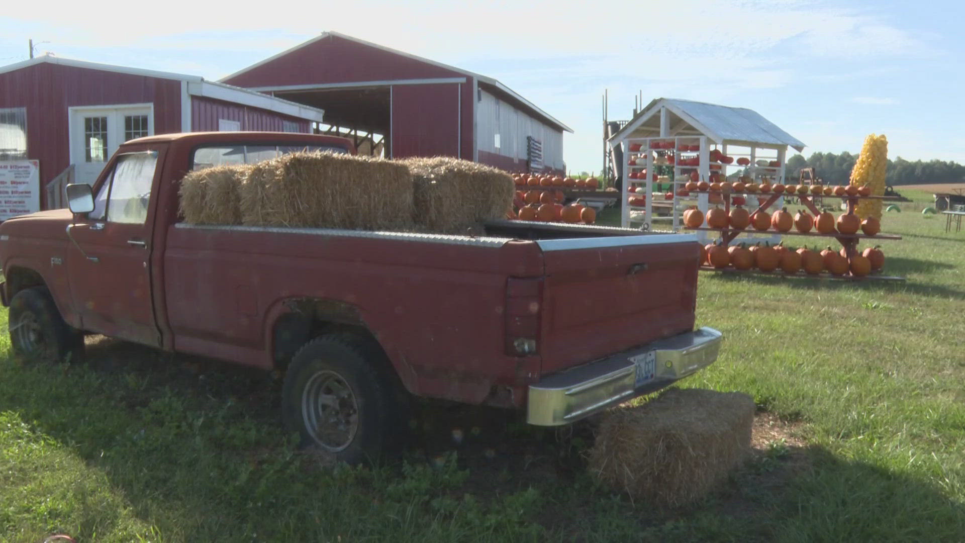 Thomas Dairy Farm near Elizabethtown hosts fall festivals and has a beautiful pumpkin patch.