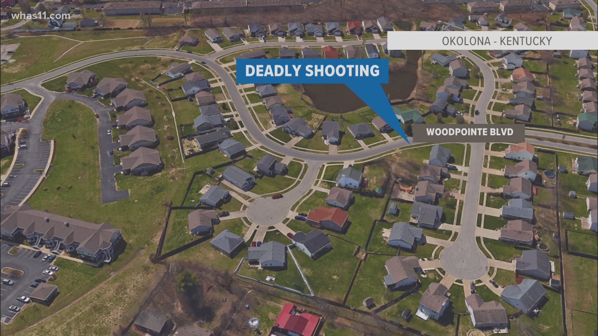 A woman was shot and killed early Tuesday morning, according to Louisville Metro Police.