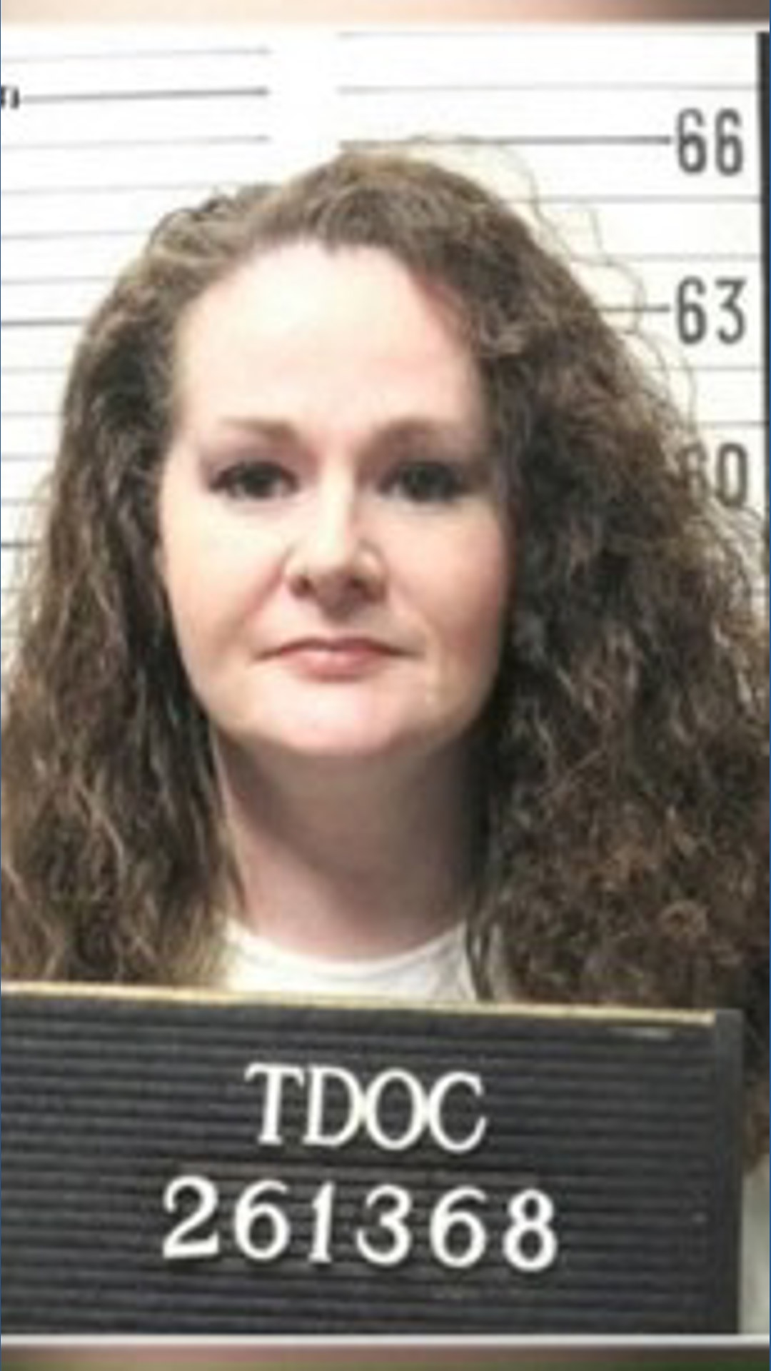 Whas11 Weather Tennessee's Department of Correction commissioner steps down after ...