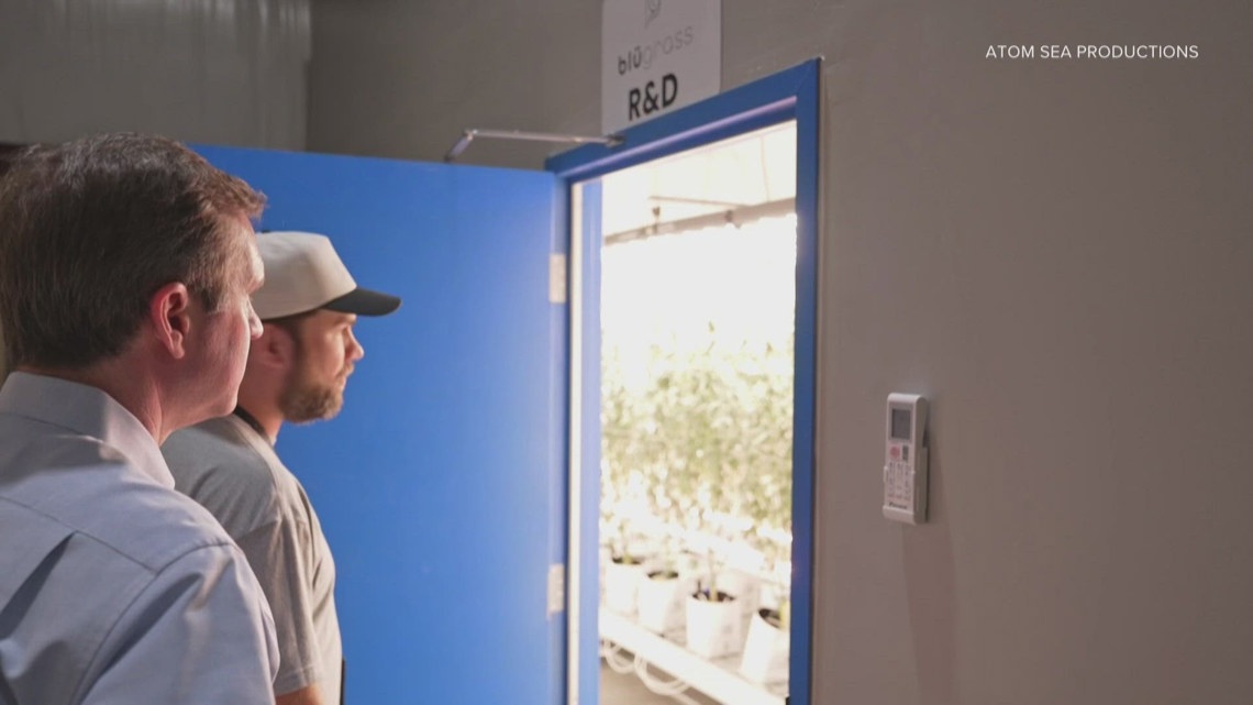 Gov. Beshear backs new cannabis facilities to boost jobs and medical access in Kentucky