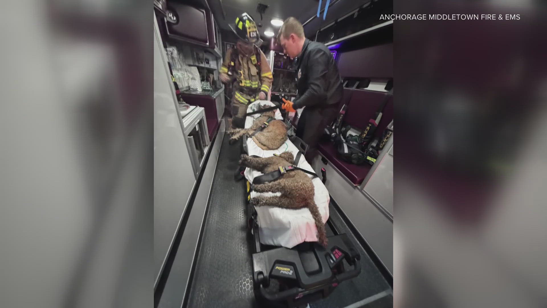 Anchorage Middletown Fire rescue family and pets in two story housefire ...