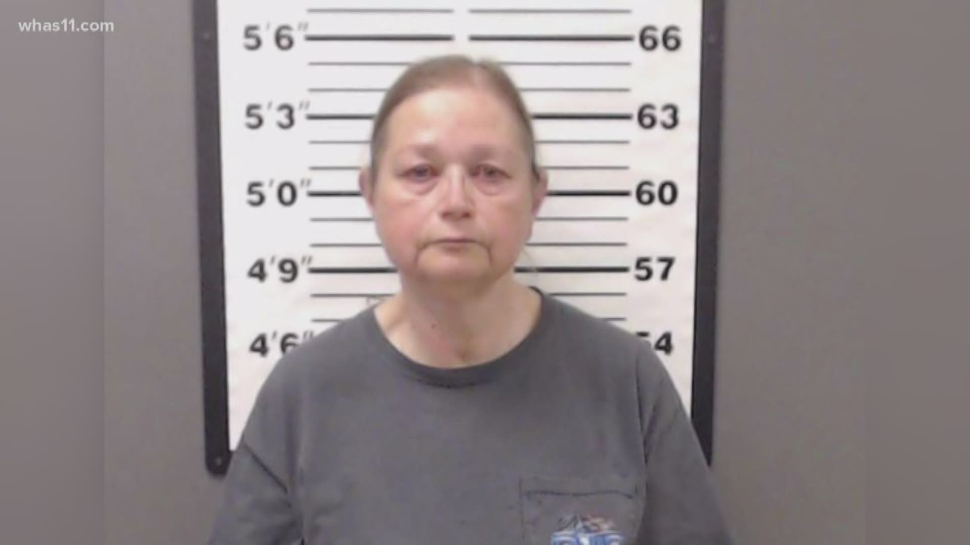 The Jefferson County, Indiana, woman arrested after investigators found dozens of animals in poor condition at her home made her first appearance in court Wednesday.