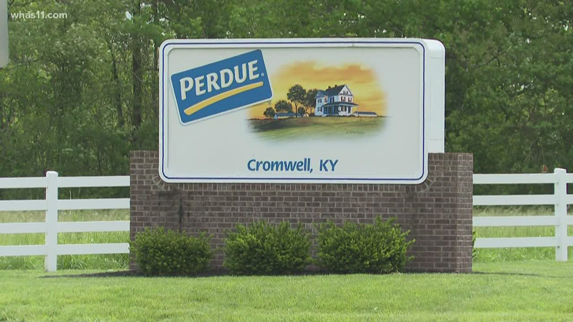 As the safety of the food supply chain has come under question, health care workers are testing employees at the Purdue plan in Kentucky.
