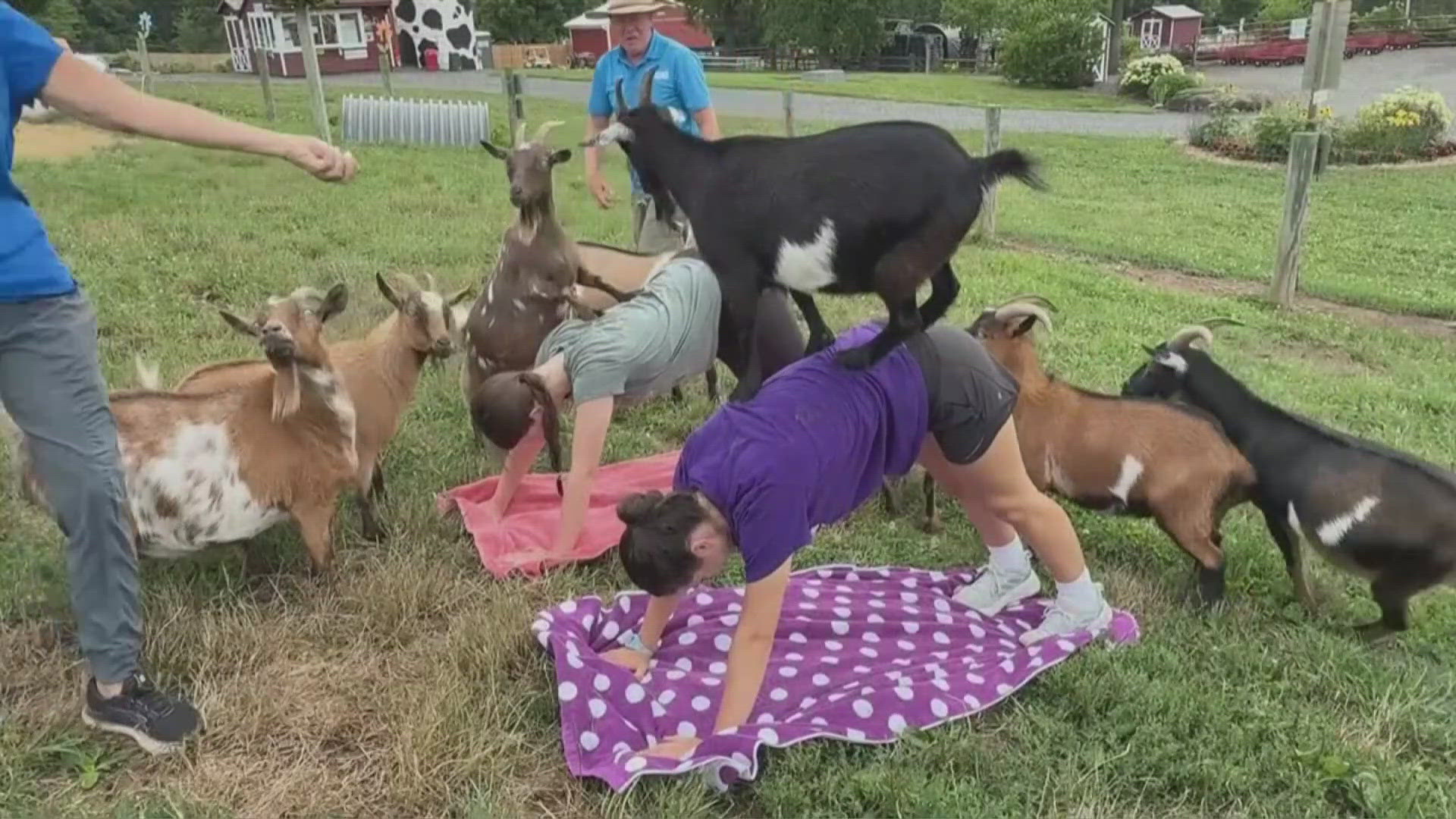Family farm adds attractions to survive | whas11.com