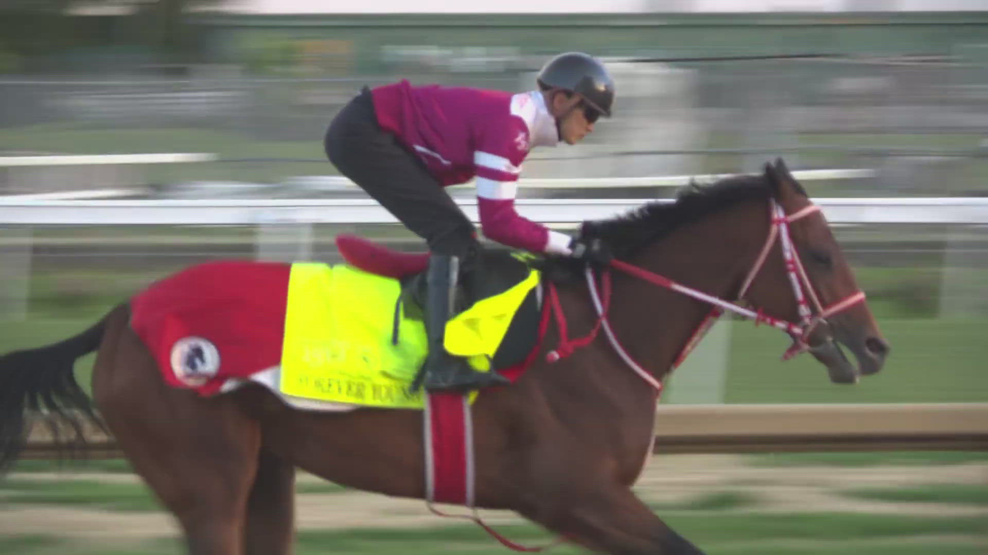 The two horses from Japan, Forever Young and T O Password, put in their final work under the twin spires of Churchill Downs Tuesday morning.